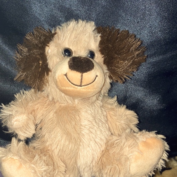 I am selling my stuff dog. this is very cute and will go great with your home - Picture 1 of 5